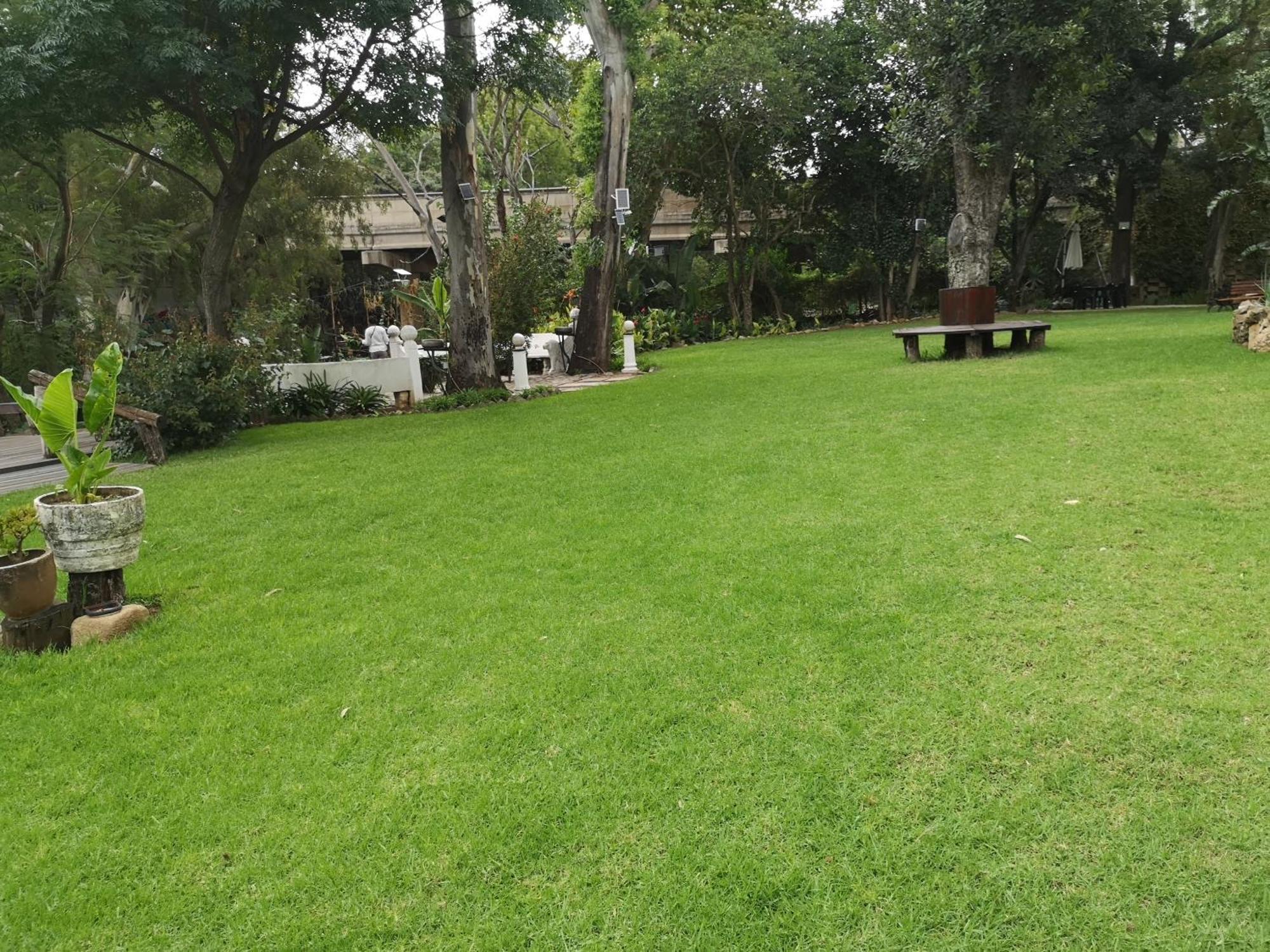 Lotus Guest House Johannesburg Esterno foto