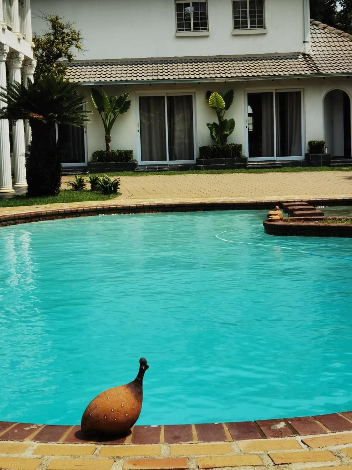 Lotus Guest House Johannesburg Esterno foto